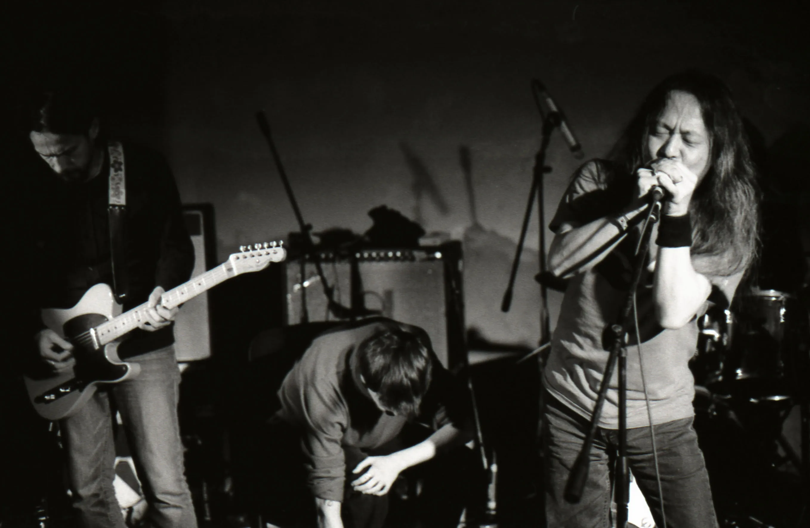 Damo Suzuki Network thumbnail 3